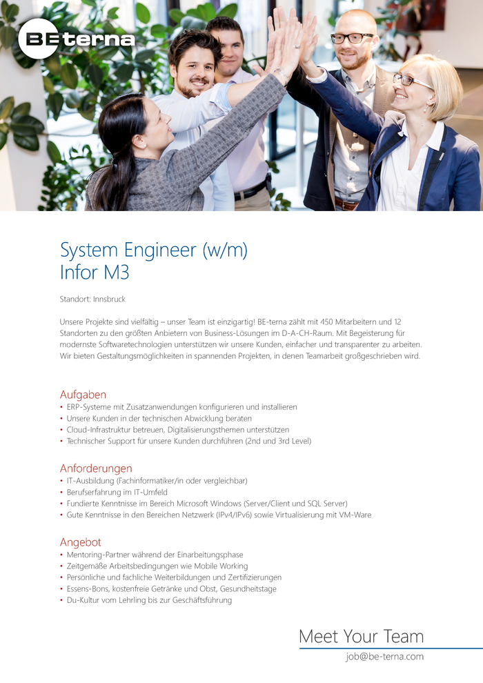 System Engineer (w/m) Infor M3